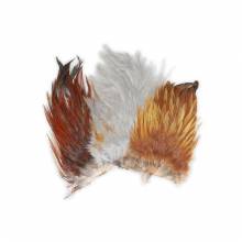 CUELLO CHINO (INDIAN ROOSTER)